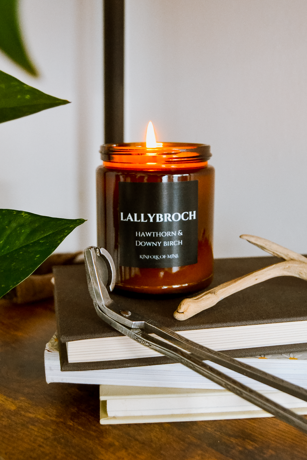 LALLYBROCH Book Lovers Candle