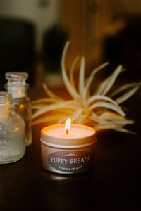 Puppy Breath 4oz Candle