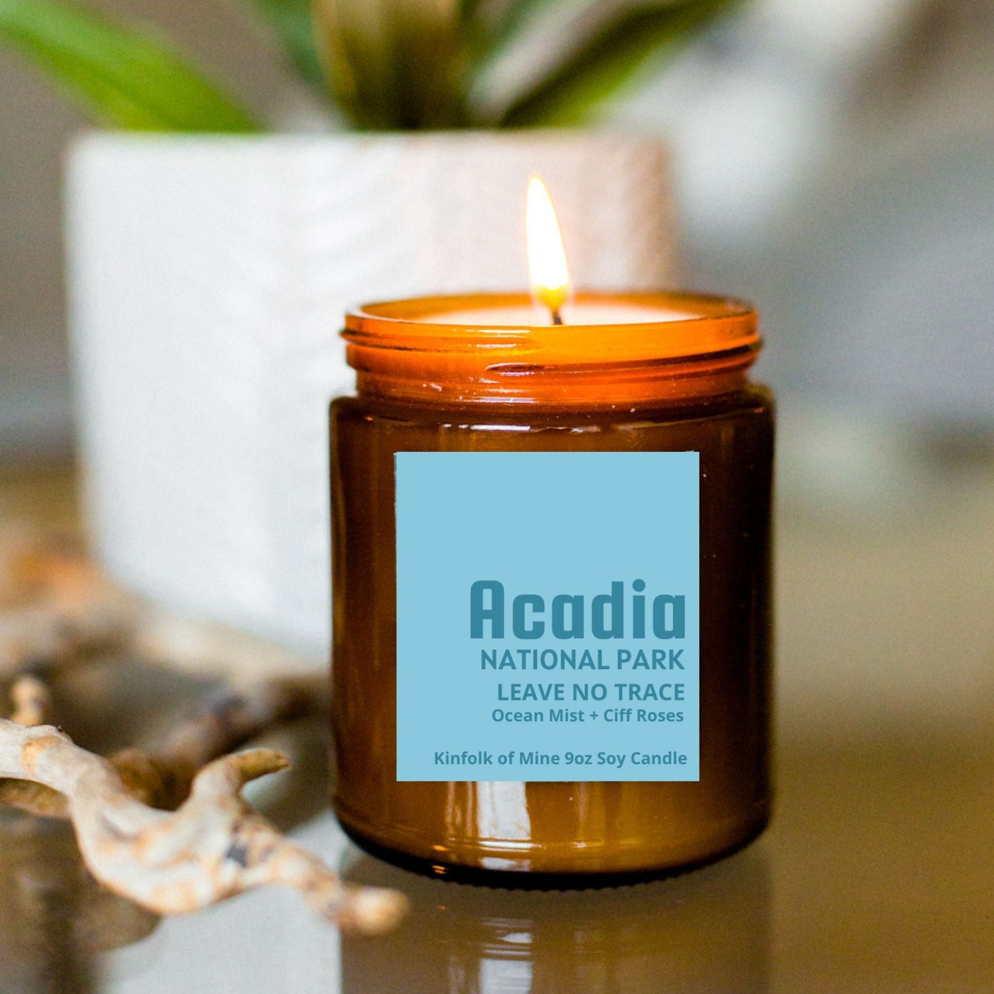 Acadia Soy Candle
