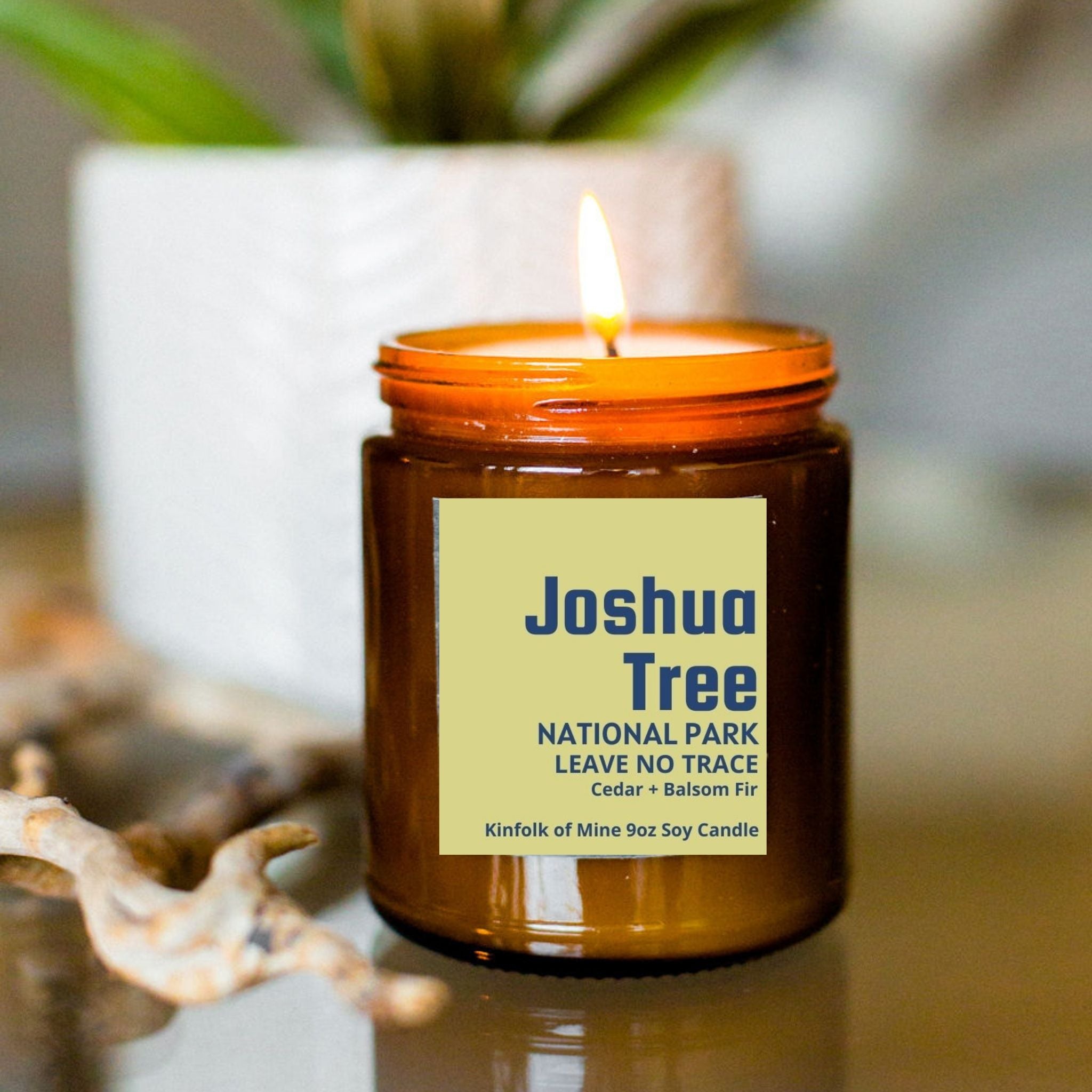 Joshua Tree Soy Candle